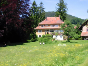 Alpenblick-Steineckhof